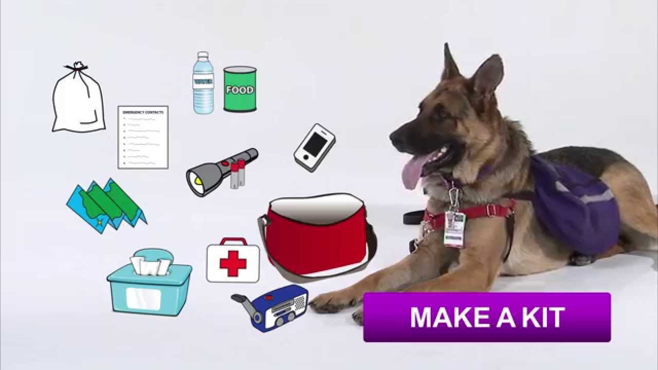 Fred the Preparedness Dog - KDHE
