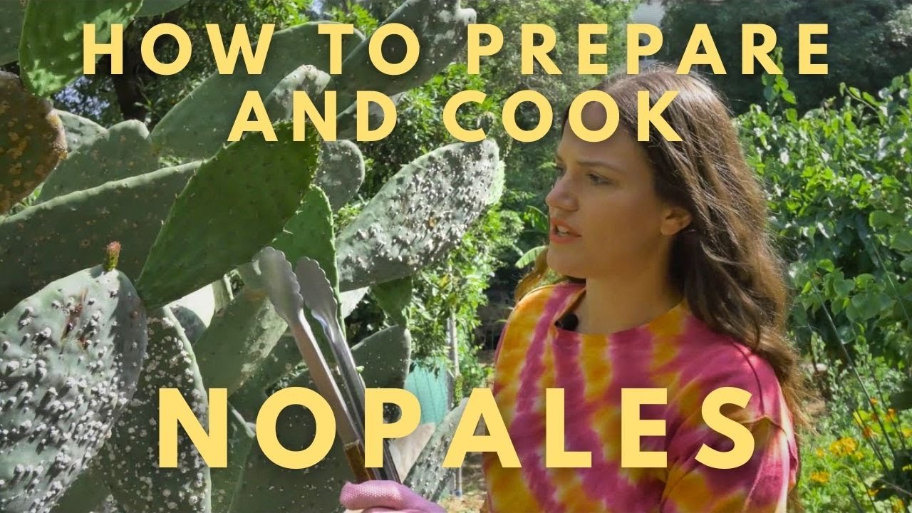 How to Harvest, Prepare, and Cook Nopales Cactus [2 Recipes!]