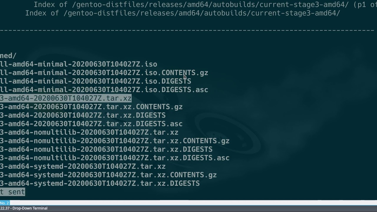 Установка gentoo | Первоначальная настройка, разбивка диска, установка пакетов emerge, make.conf
