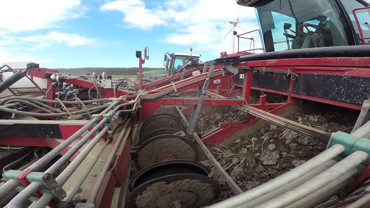 Pootgoed rooien lelystad