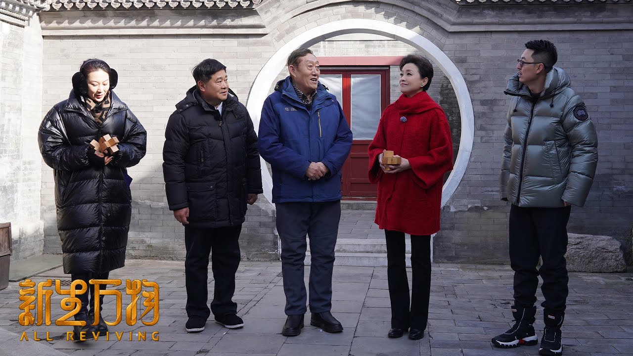 北京四合院有多讲究，听官式建筑营造技艺传承人郑晓阳细细说来丨#杨澜 #单霁翔丨杨澜工作室Yang Lan Studio
