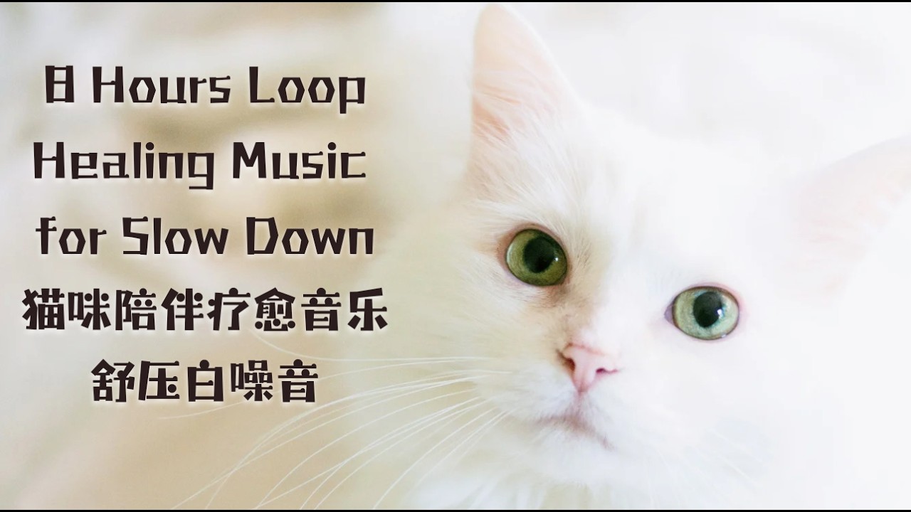No Ads | Healing Music For slow down | Loop｜慢下来治愈繫放鬆輕音樂靜心專注不焦慮｜貓咪應激舒壓必听