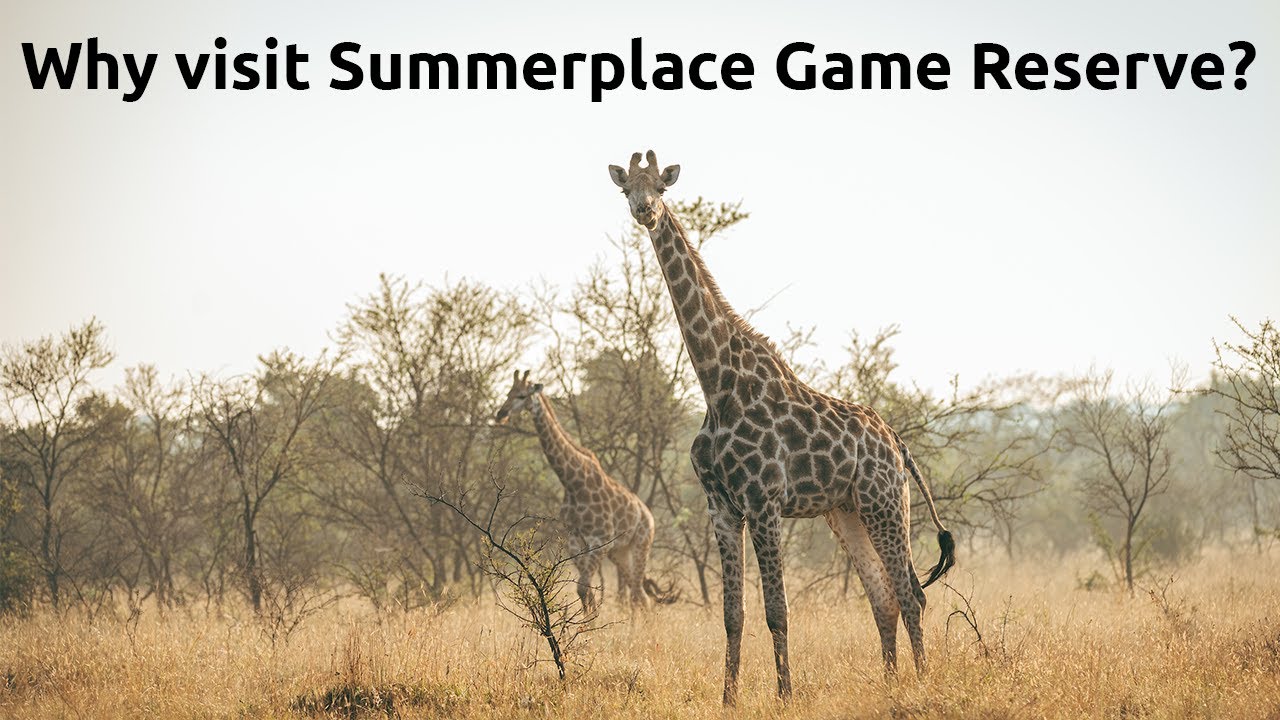 What is Summerplace Game Reserve?