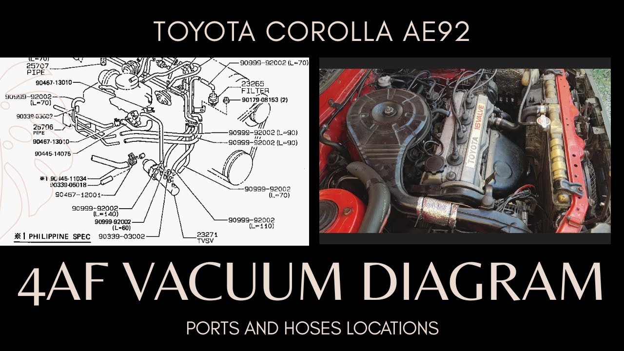 4AF 16V VACUUM DIAGRAM, PORTS AND HOSES LOCATIONS, PH SPEC - TOYOTA COROLLA AE92 SMALL BODY '89-'92