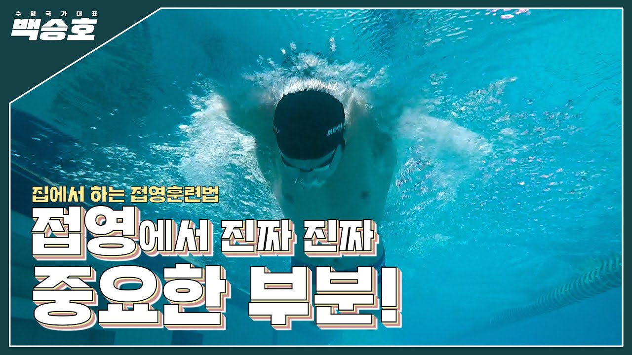 접영할때 가장 중요한건 머리? 팔? 다리? 박자?