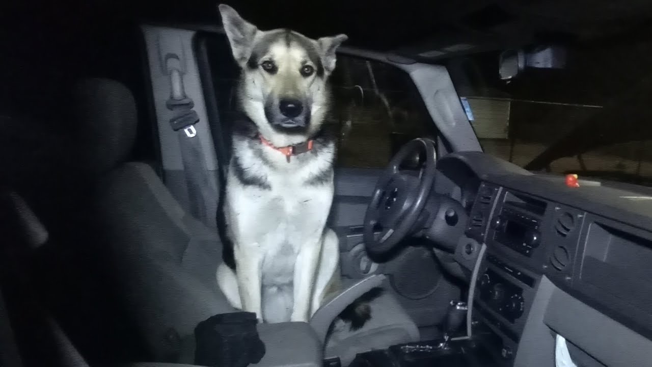 OBD2 says Luna had to wait... 06 jeep commander 3.7L 