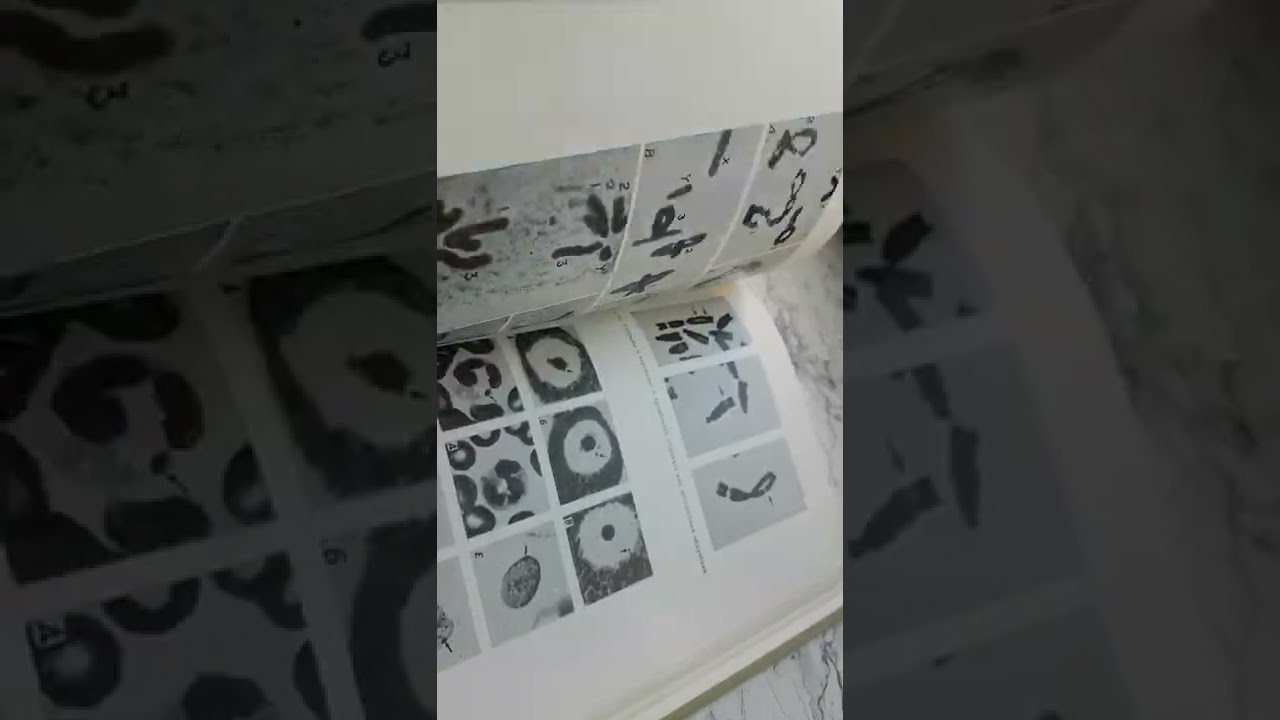 20220914 154846