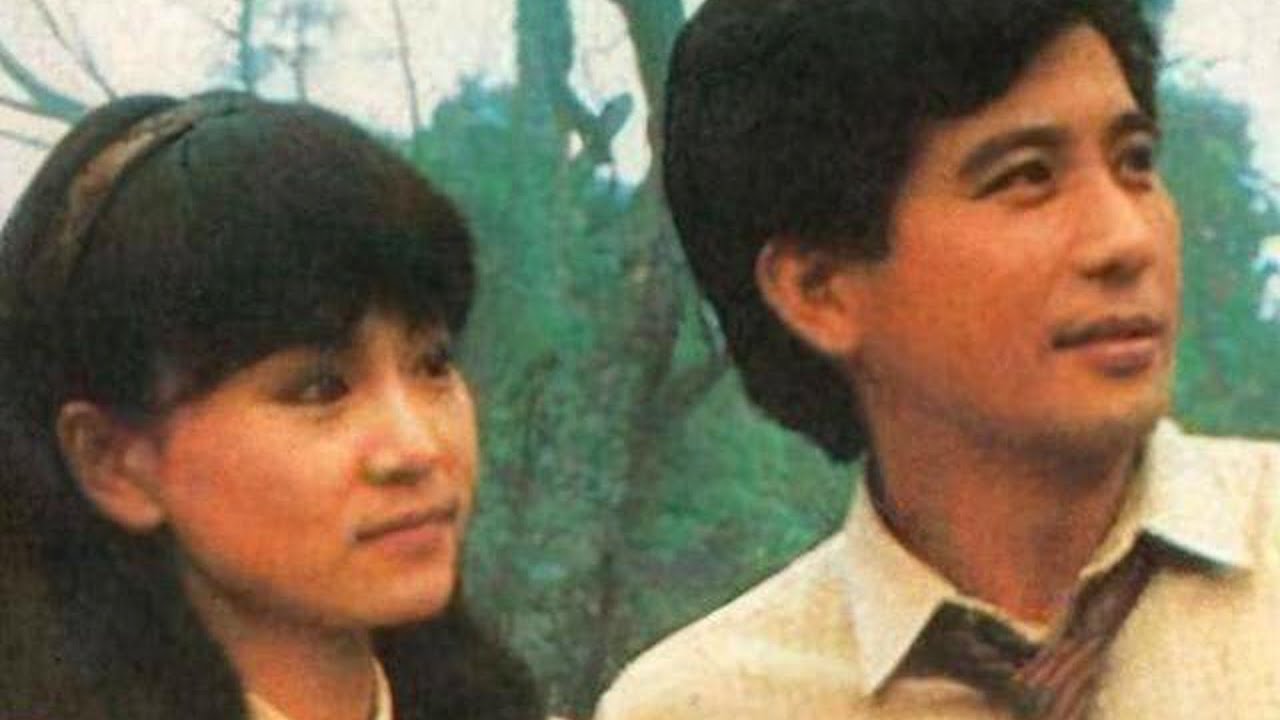 还记得章含烟、柏霈文的曲折爱情吗？一口气看完经典台剧《庭院深深》