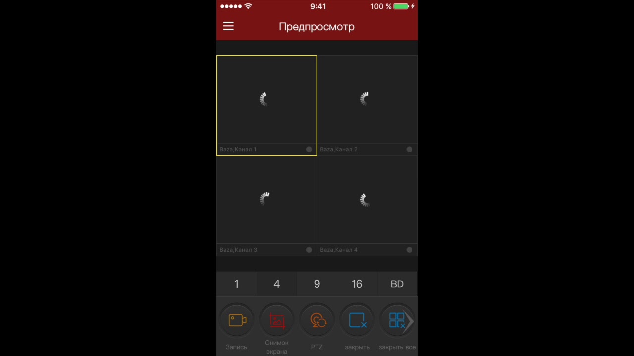 FreeIp Longse Video