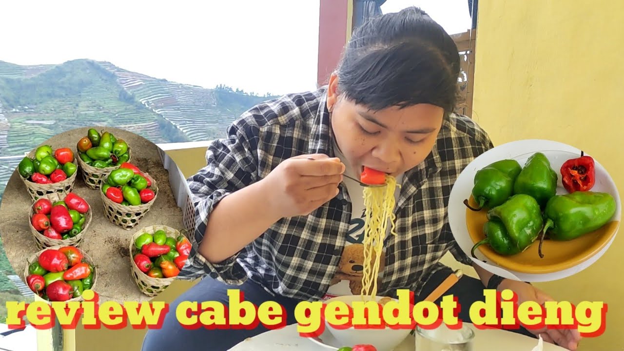 Review Cabe Gendot Dieng