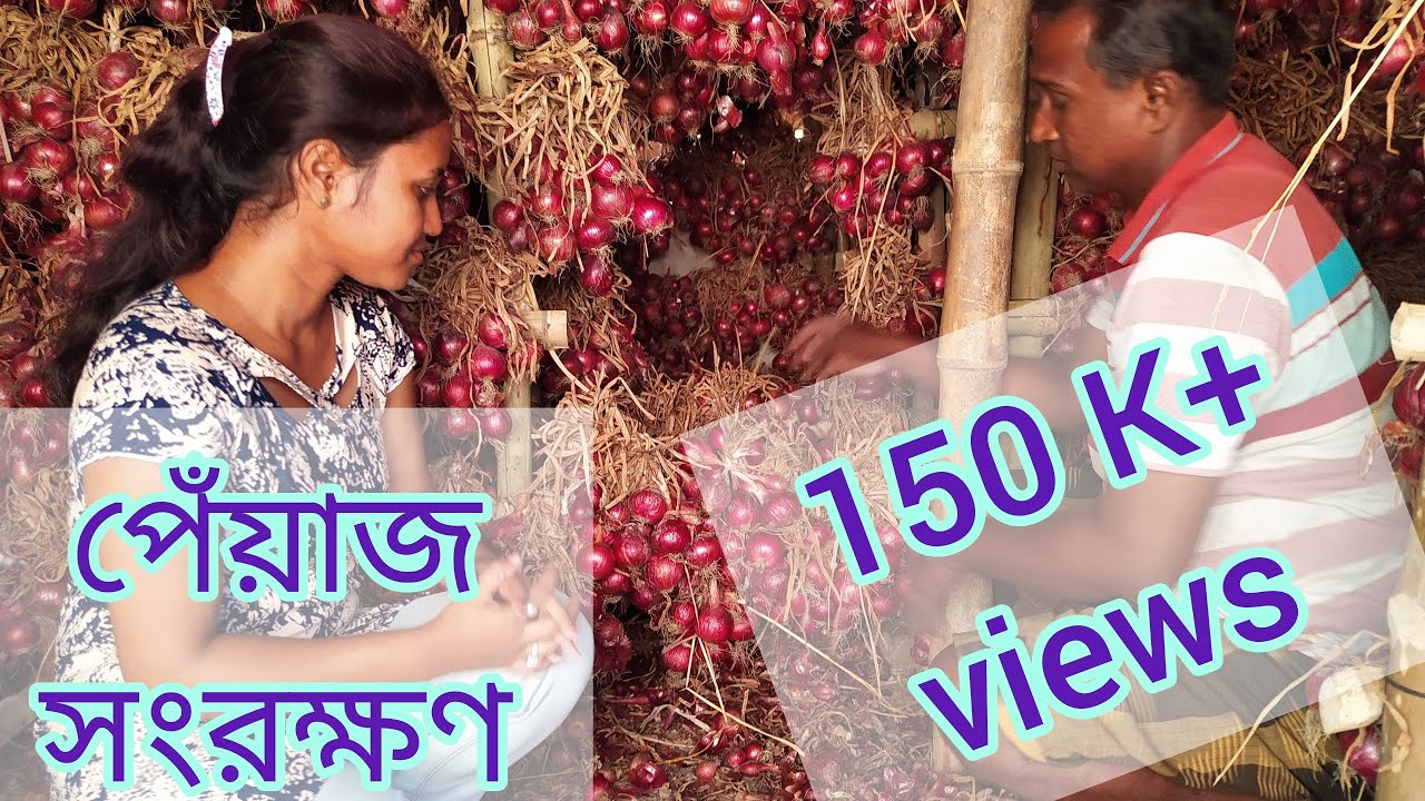 দামে ঝাঁঝ নেই পেঁয়াজে,সংরক্ষনের দেশীয় পদ্ধতি।