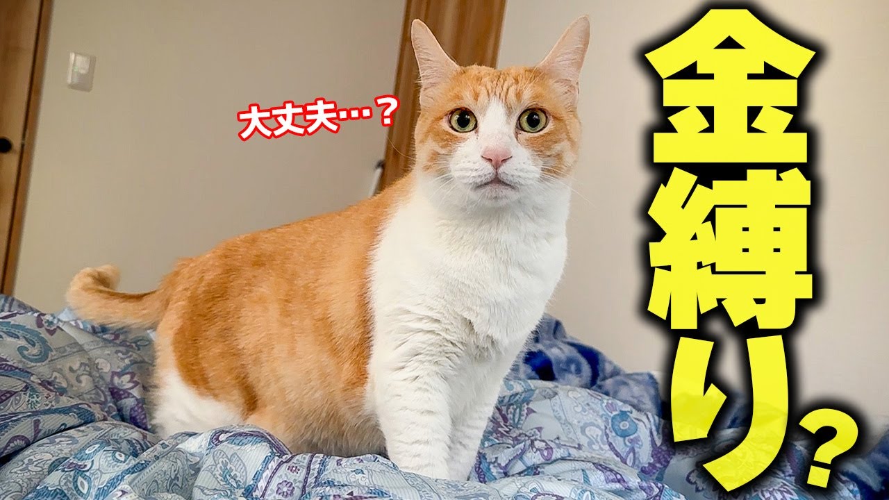 【恐怖】寝ていたら急に体が動かなくなりました。→ その理由がまさかの…