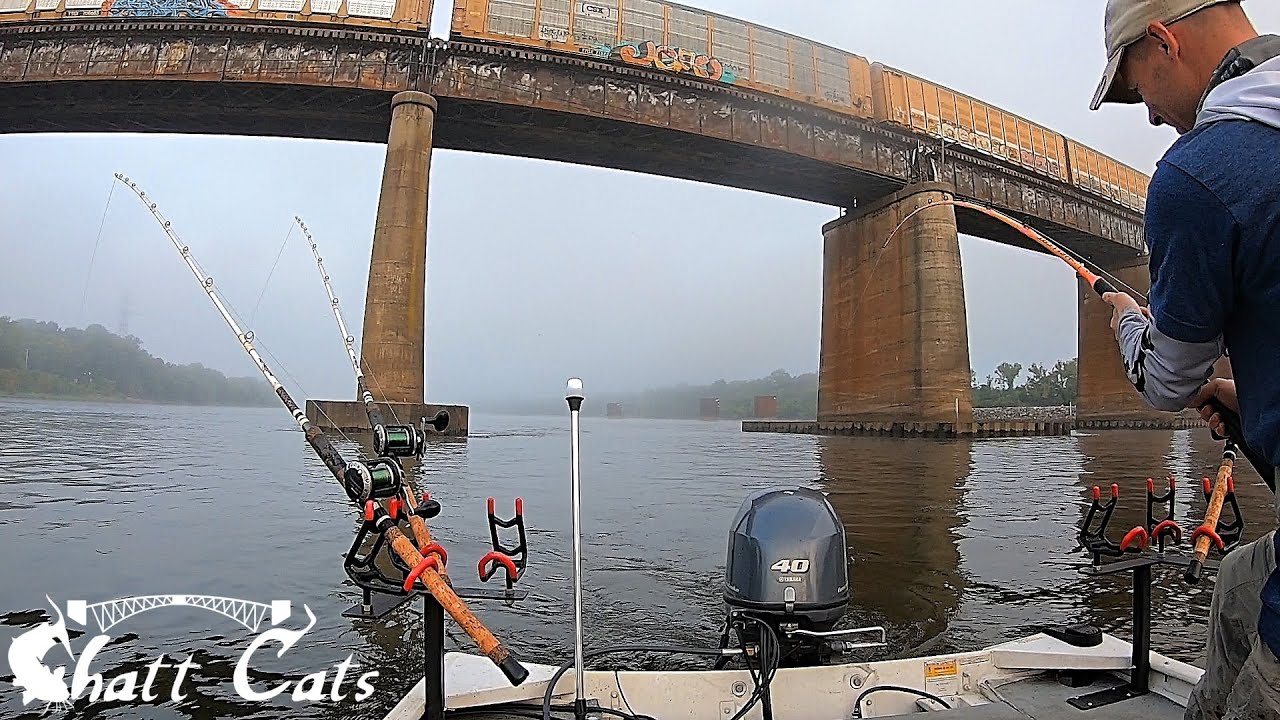 I Caught Something Big Under This Railroad Bridge