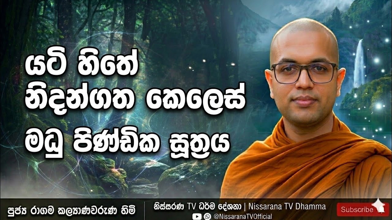 ප්‍රපංච නිසා සිත ලෙඩ වෙන්නේ කොහොමද? | මධුපිණ්ඩික සූත්‍රය​#MadhupindikaSutta #Buddhism #DhammaSermon