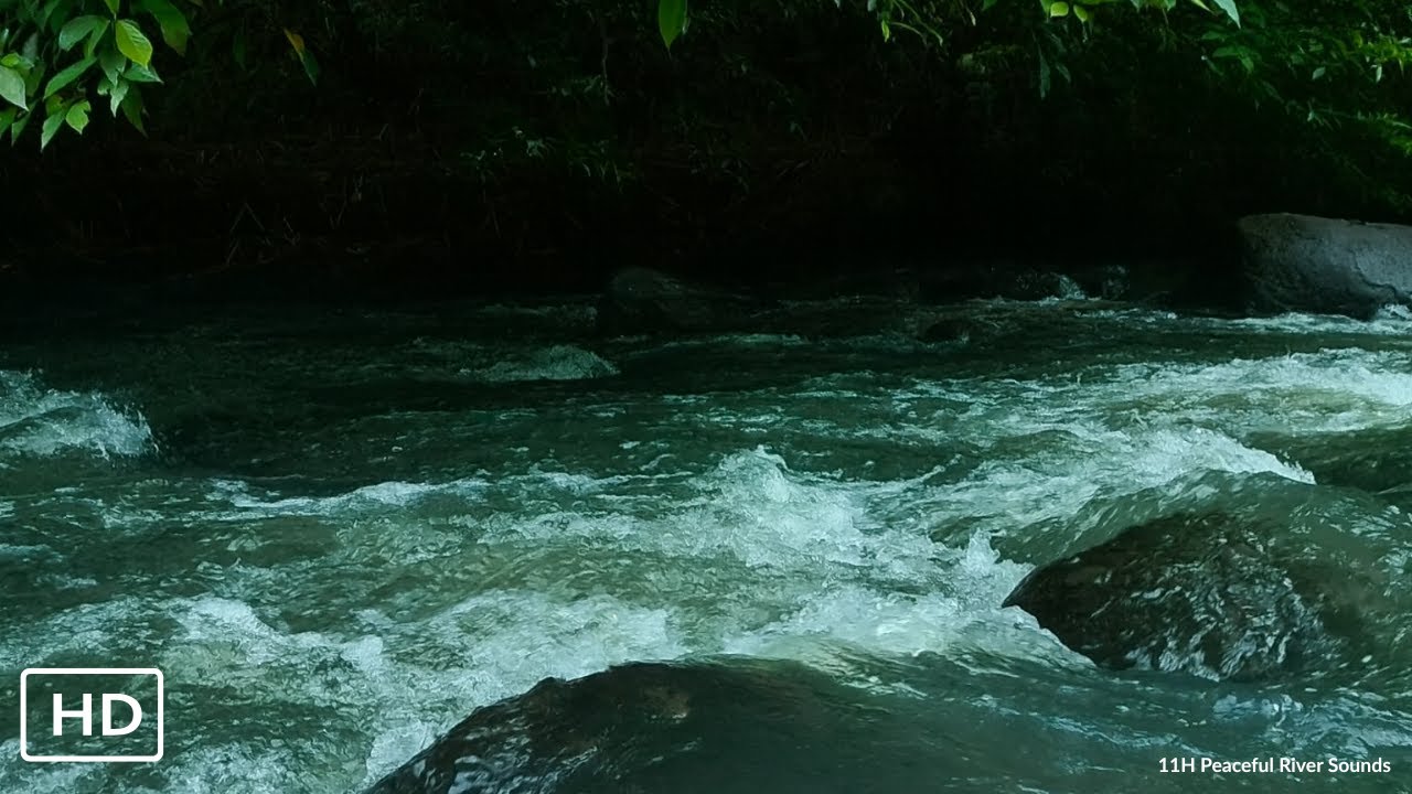 Night River Ambience – Real Flowing Water Sounds