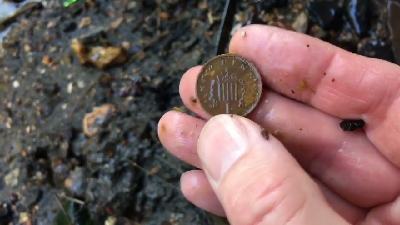 Luck🍀 in the Muck or just a Look in the Brook