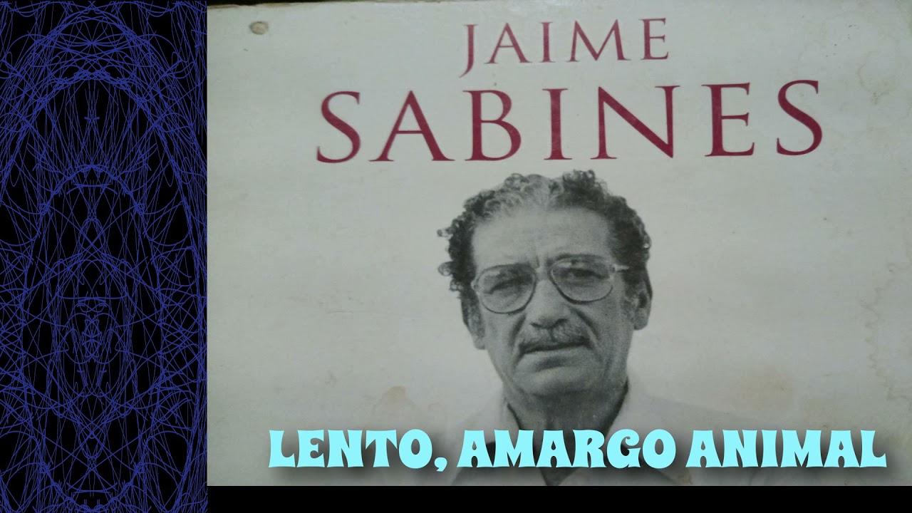 LENTO, AMARGO ANIMAL (Jaime Sabines)