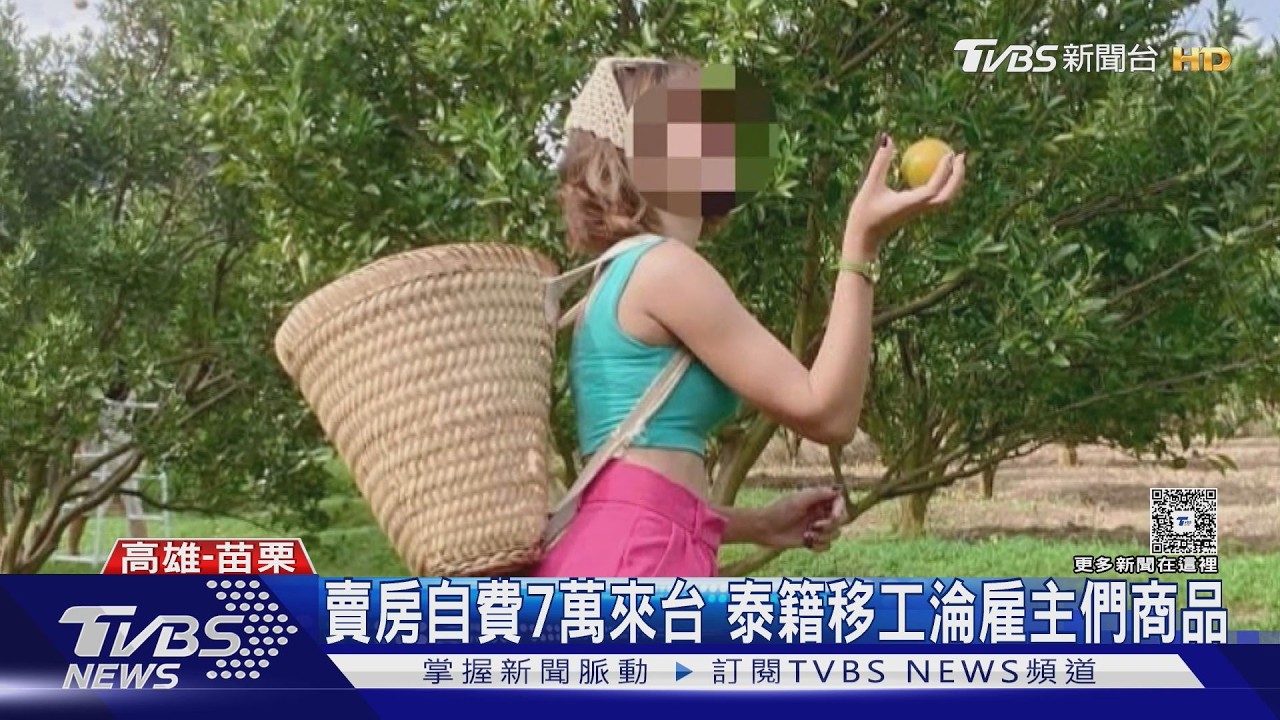 血汗草莓園! 百名泰籍非法移工 工時16小時 時薪僅90元｜TVBS新聞 @TVBSNEWS01