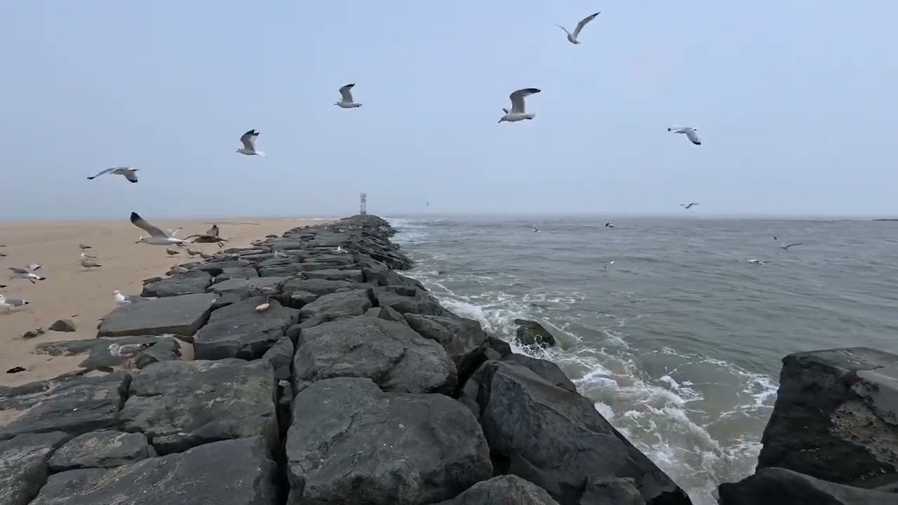 March 2026 Ocean City Trip