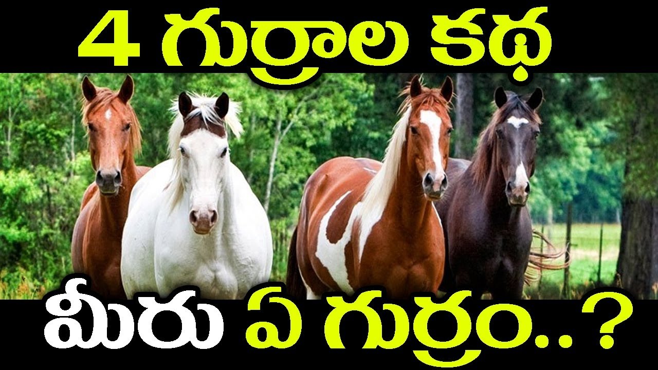 4 గుర్రాల కథ మీరు ఏ గుర్రం..? || 4 Horses Motivational Story || SumanTV