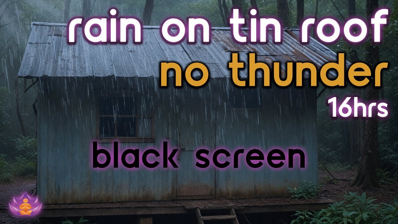 [Black Screen] Rain on Tin Roof | Rain Ambience No Thunder | Rain Sounds for Sleeping