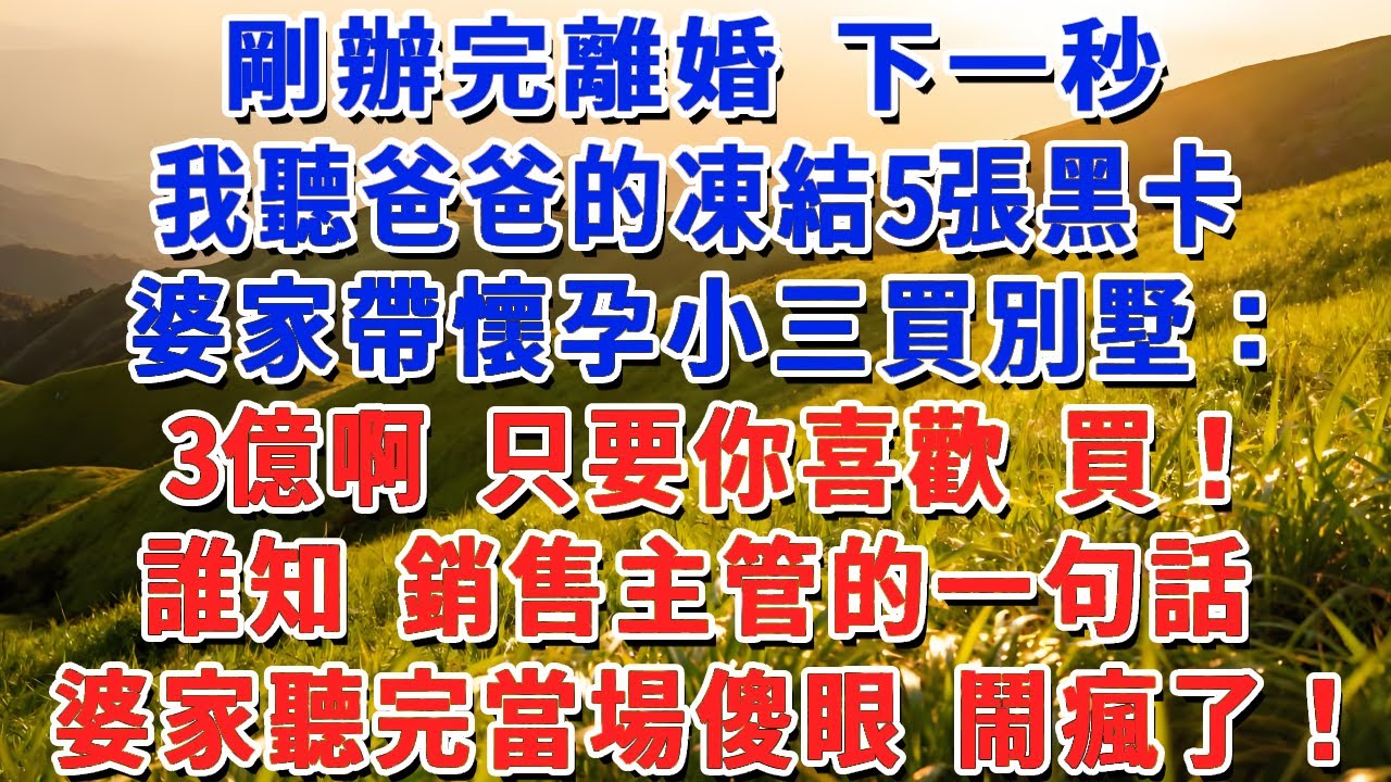 剛辦完離婚 下一秒，我聽爸爸的凍結5張黑卡，婆家帶懷孕小三買別墅：3億啊 只要你喜歡你 買！誰知 銷售主管的一句話，婆家聽完當場傻眼 鬧瘋了！#小娟講故事 #情感故事 #老年生活