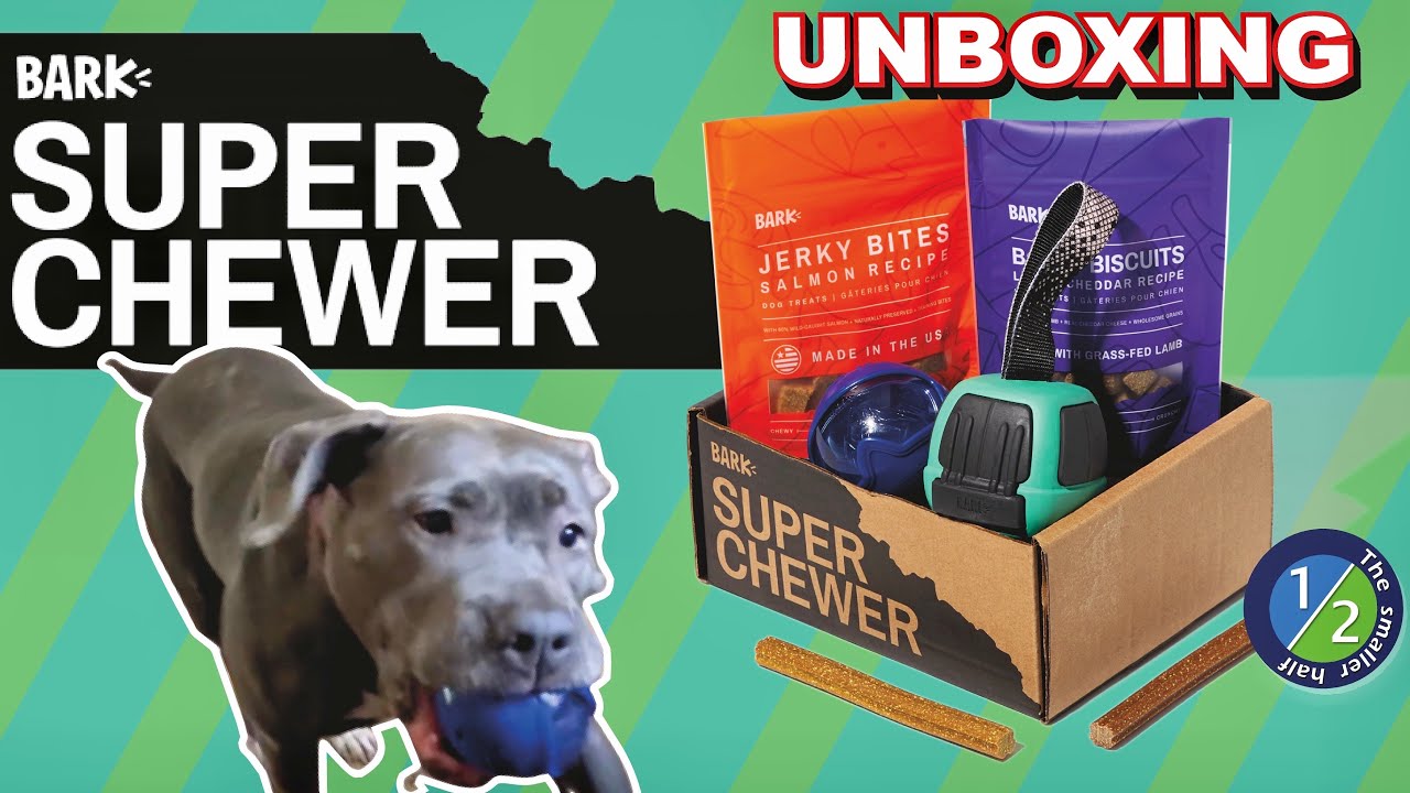 Unboxing Super Chewer Bark Box Review 2021