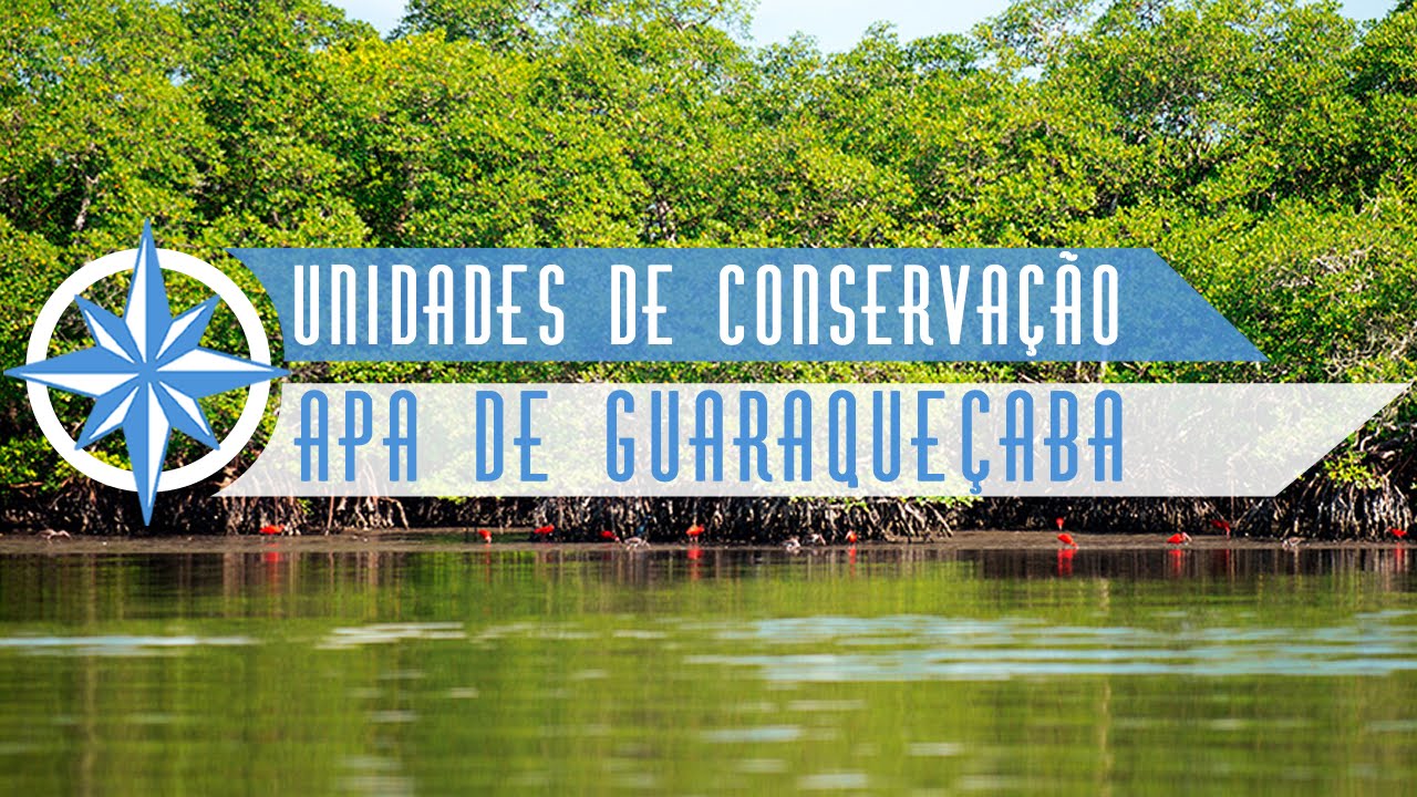 Área de Preservação Ambiental de Guaraqueçaba - Episódio 7