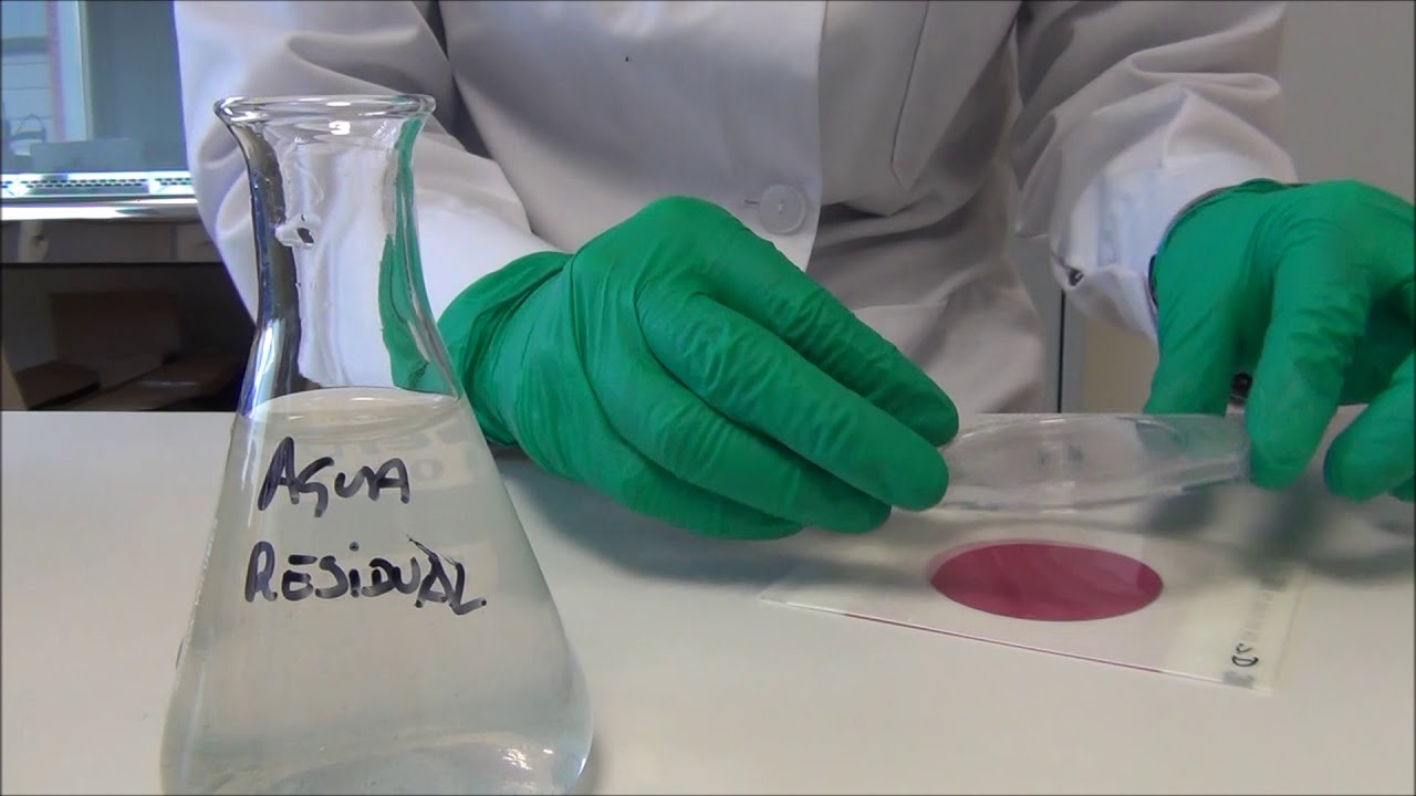 Laboratorio de Análisis Microbiológico de Agua: Parte 6  Placas Petrifilm 3M