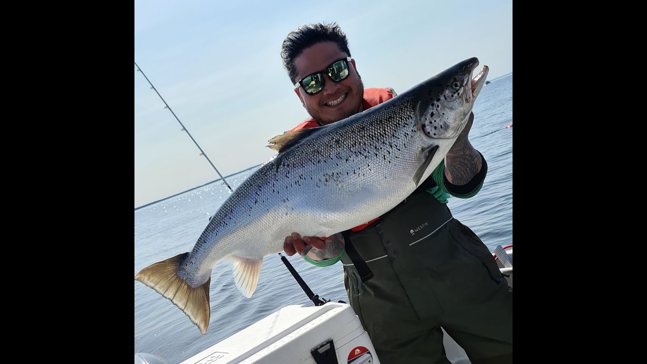 Laxtrolling på Vänern med Team Josefsson/Blücher KKO tävling 10kilos+ lax hugg till håv