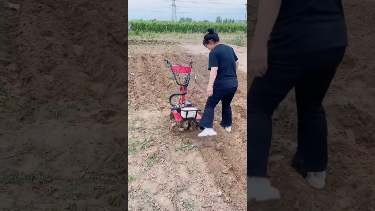 Small gasoline micro tillage machine Multifunctional Rotary Tiller Weeder Cultivator..👍