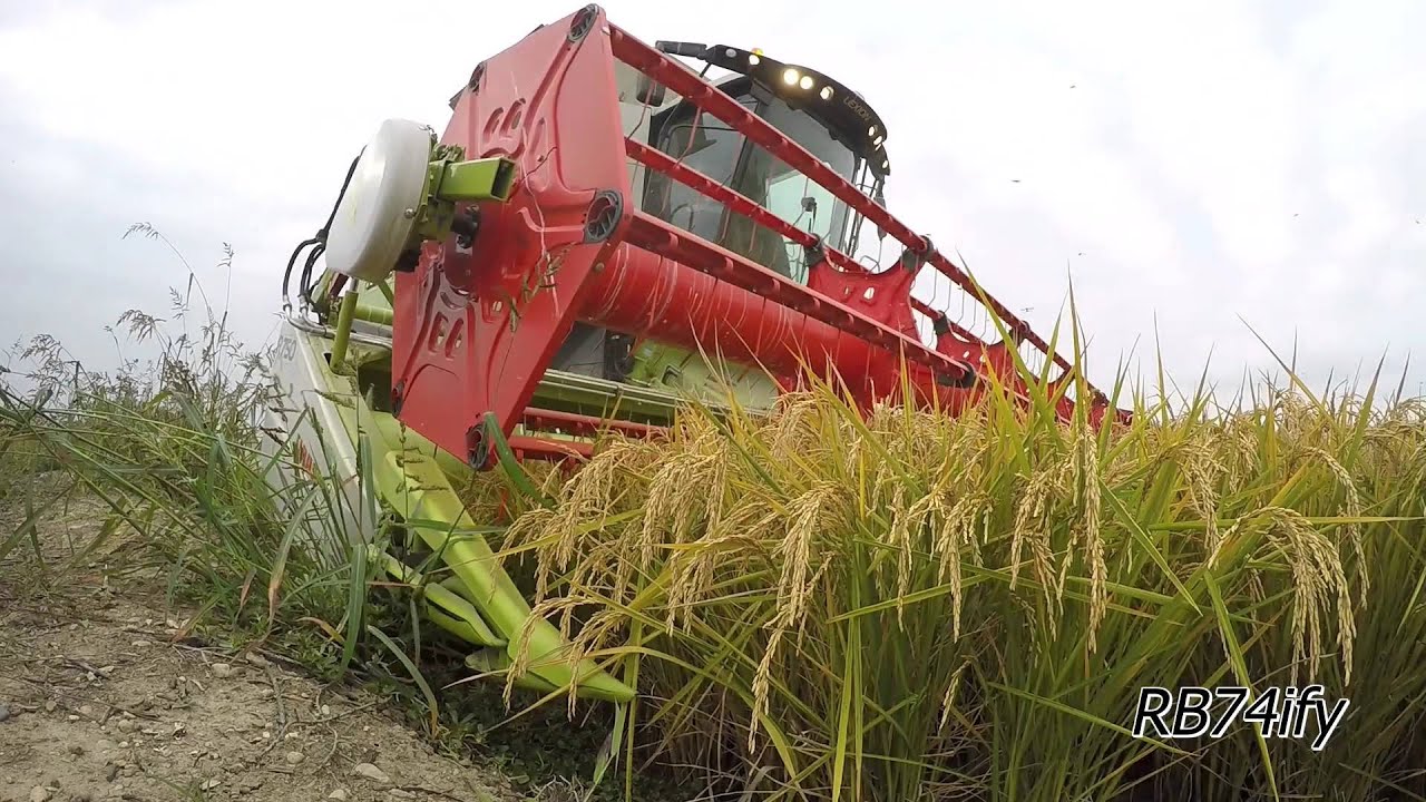 CLAAS Lexion 770 R750 Poluzzi HT900R8 & John Deere 7830 - Rice Harvest 2015