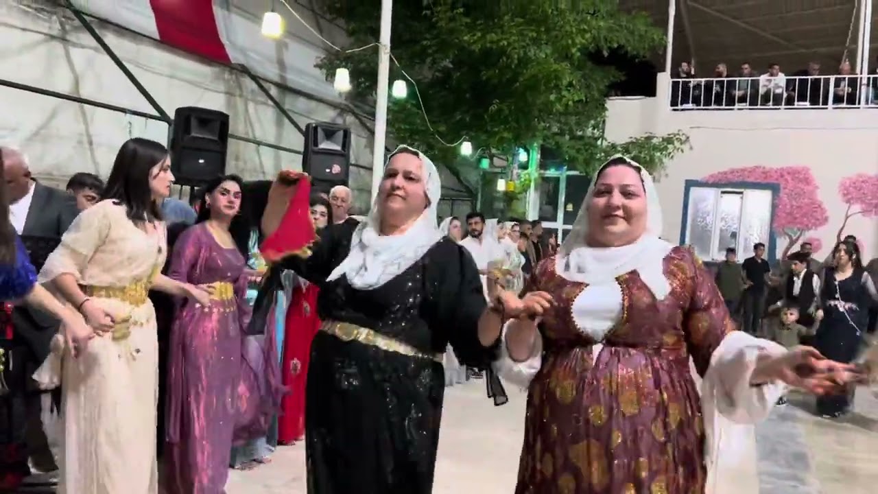 Özgür Tekinalp kına gecesi Tekinalp ailesi Grup Welat Silopi Şırnak düğünleri #şirnakdüğünleri