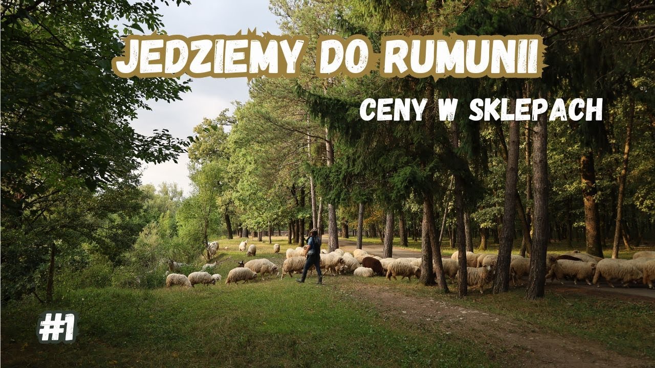 CENY W RUMUNII - czy warto jechać?