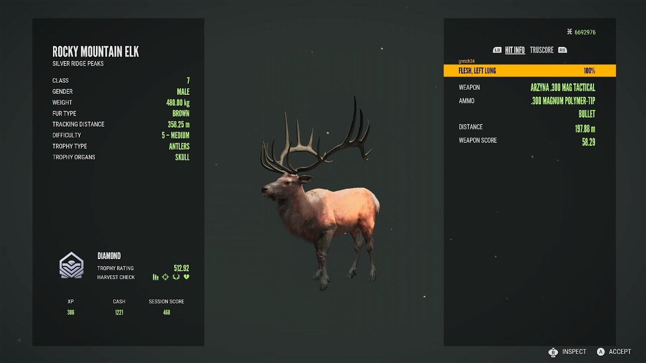 Giant Diamond Rocky Mountain Elk, The Hunter Call of the Wild
