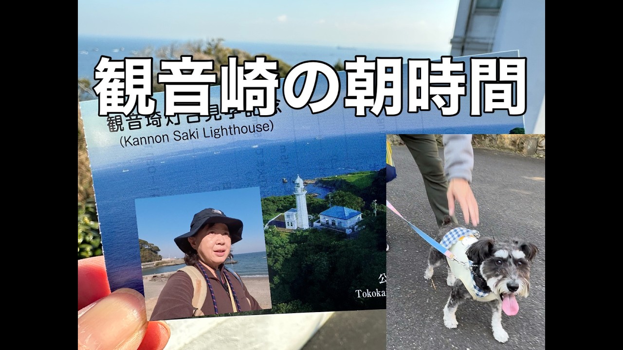 【横須賀・観音崎】海と灯台を見に行く朝ドライブ｜61歳の日常
