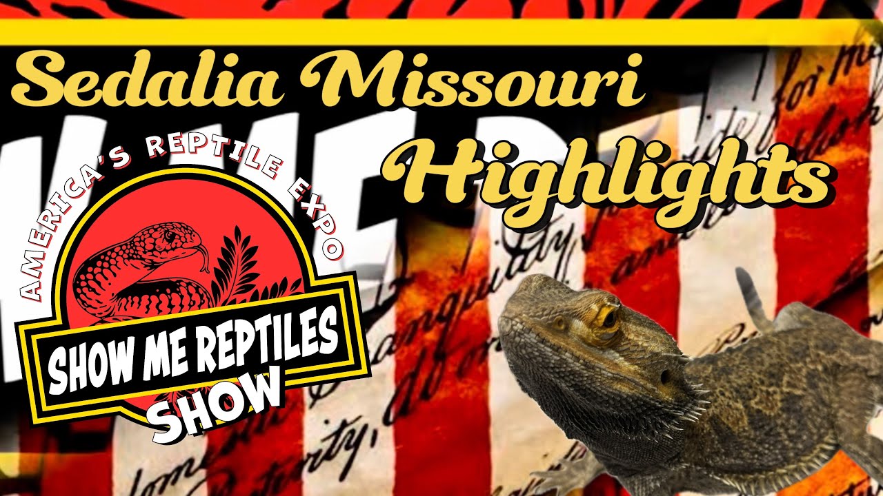 Sedalia Missouri (Show Me Reptile Show) Highlights & Vendor Spotlights ⭐️ 