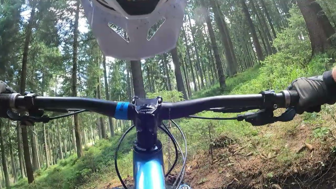 Dzik (czarny) - Bike Park Czarna Góra - 2024