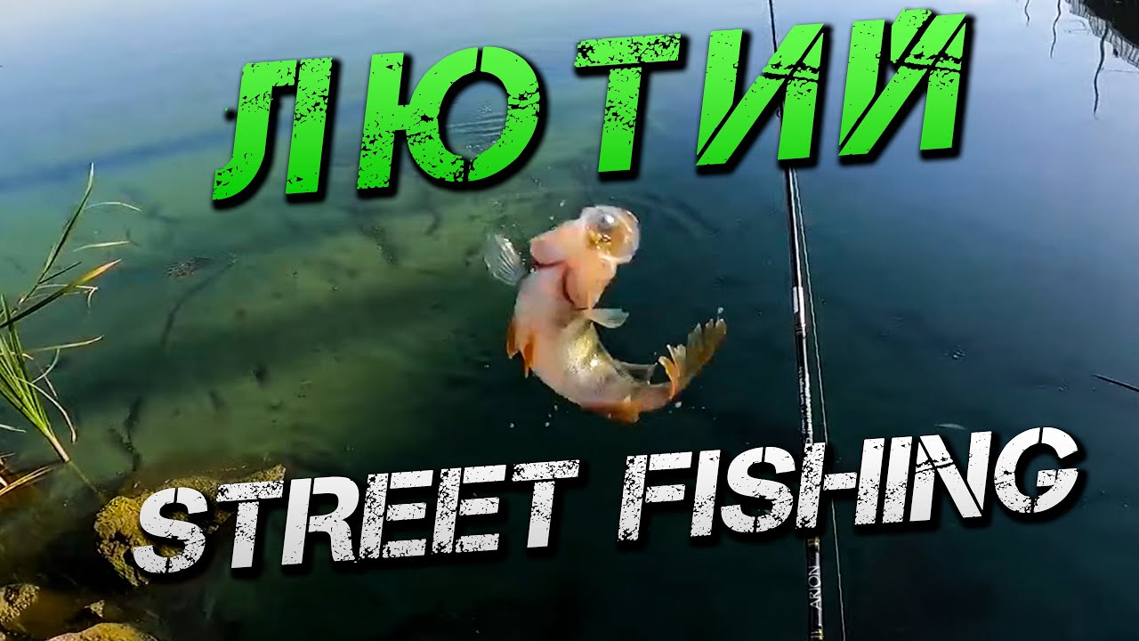 ✅ЛЮТИЙ STREETFISHING! Ловля Окуня і Судака на Південному Бузі✅