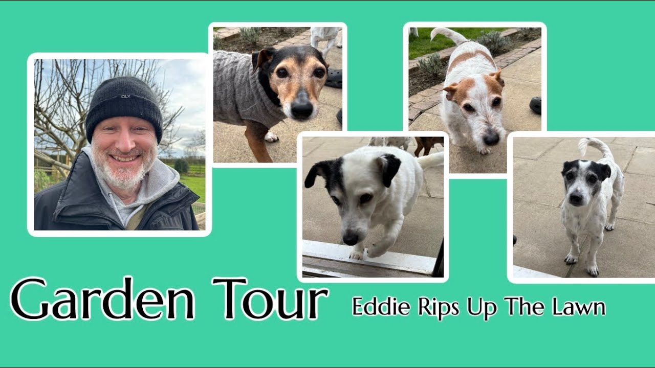 Garden Tour, Eddie Rips Up The Lawn #rescuedog #spring #garden