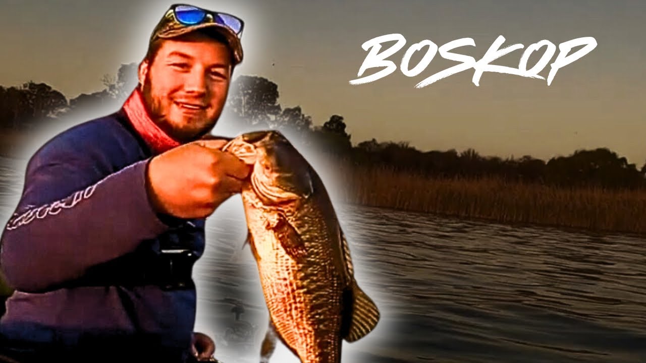 VISkunde - TARGETING bass at Boskop dam