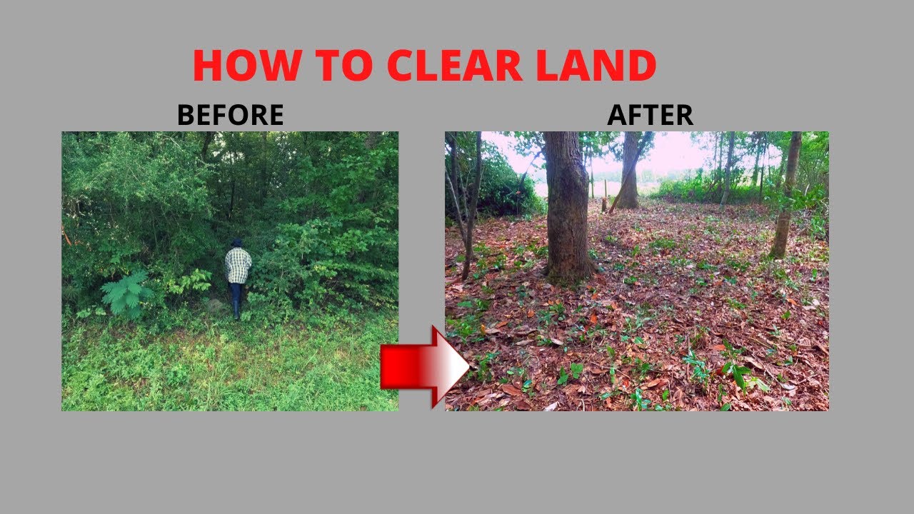 HOW TO CLEAR FOREST LAND WITH HAND TOOLS(CHEAP ) 