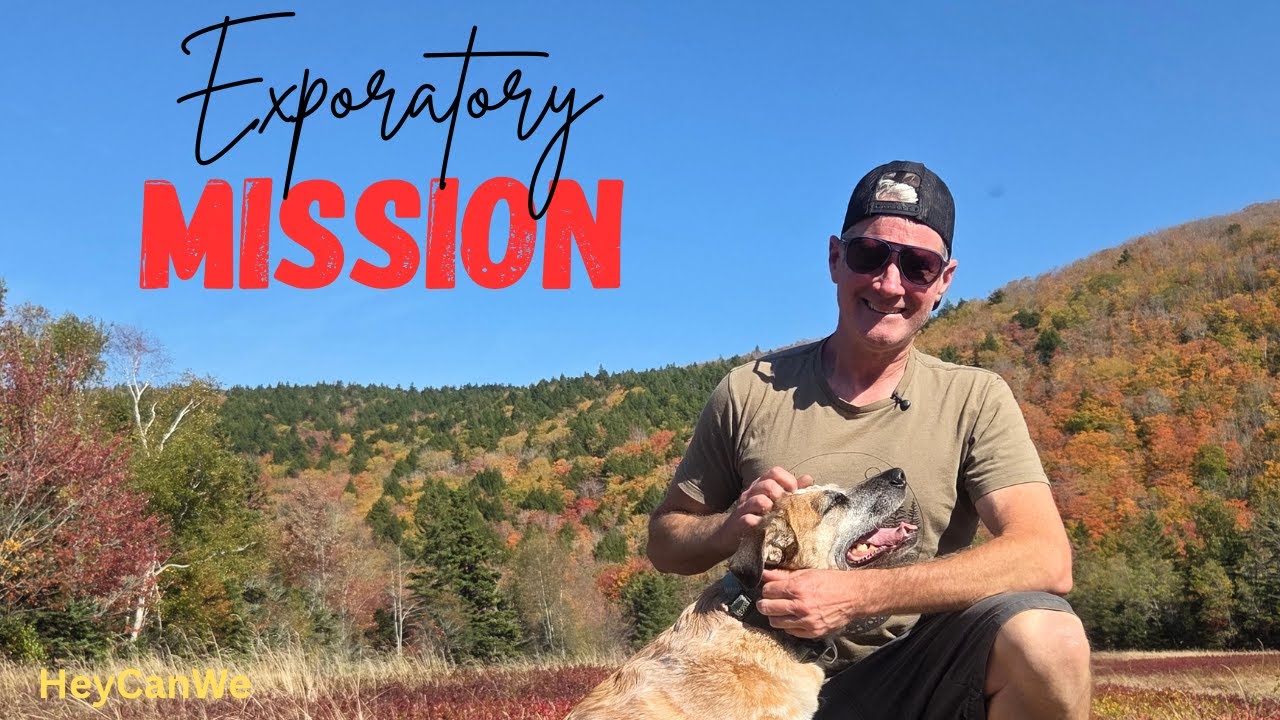 Pushing my Van's limits to Boondock in the Hills!  Amazing Fall Colours!