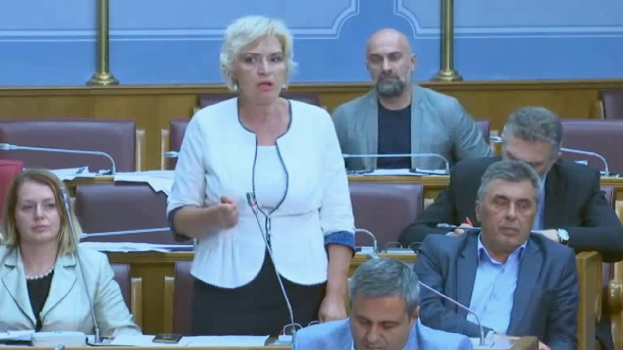 Jočić - Demokrate zabole glogov kolac u Sporazum o budućnosti | 31.07.2019.