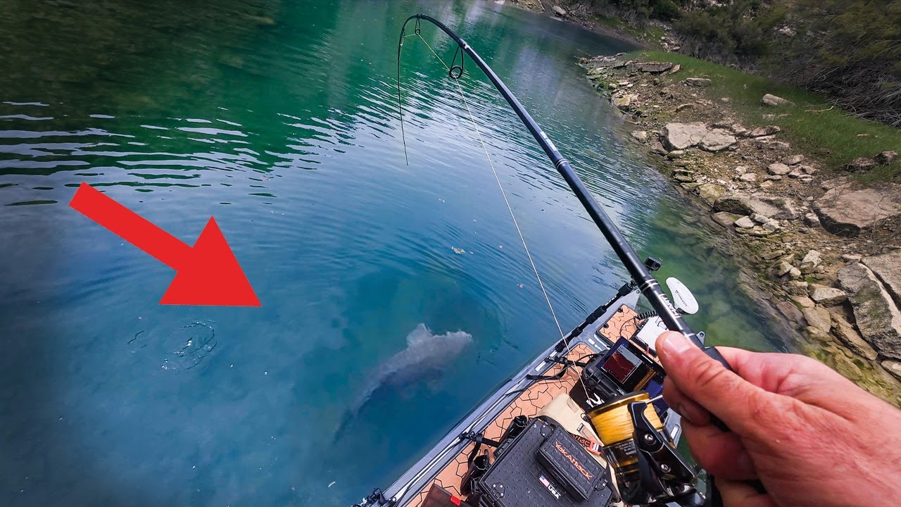 Angeln im glasklaren Wasser 🎣 Fischarten Challenge!