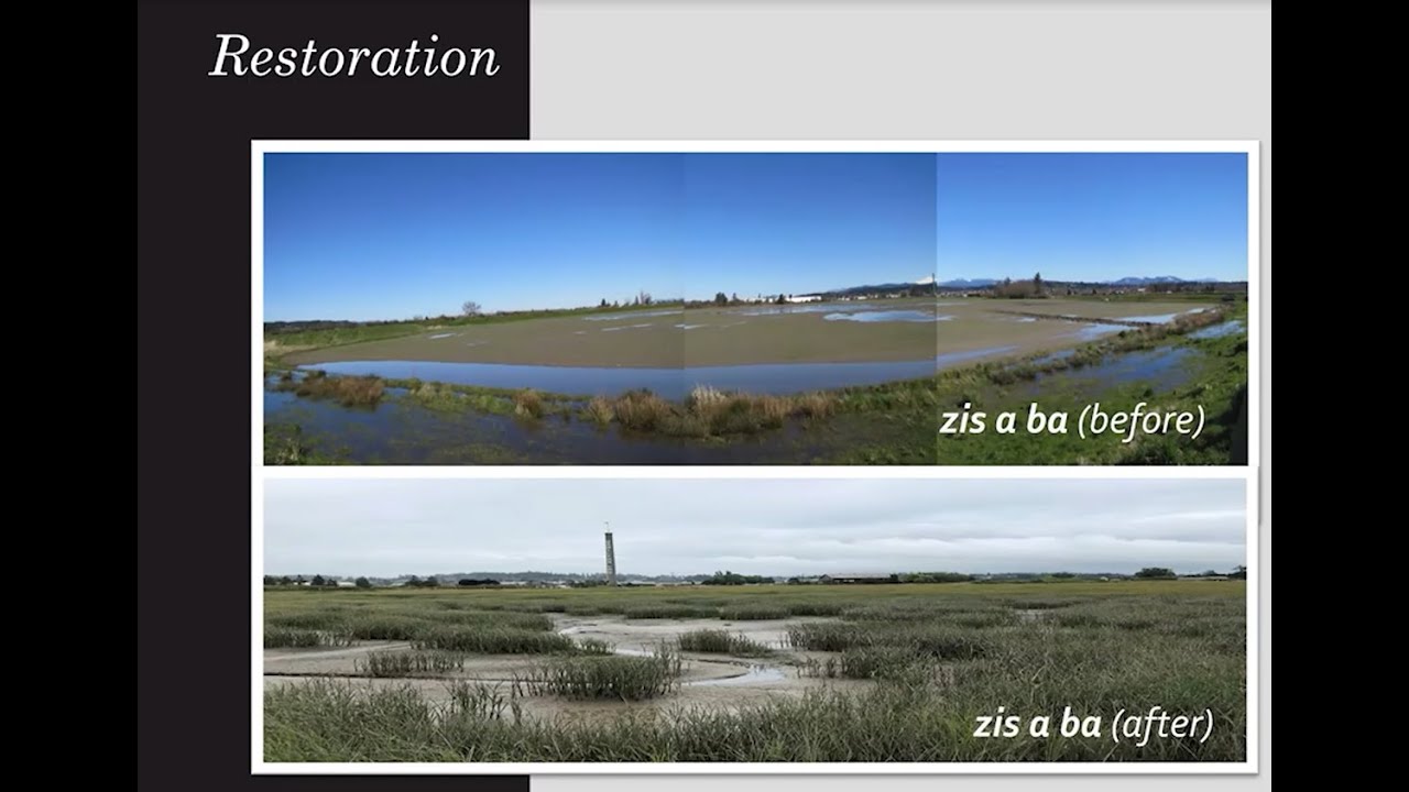 Eligible Projects- Restoration (2025)