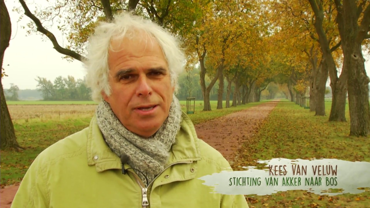 Minidocumentaire voedselbossen en natuurlijke landbouw