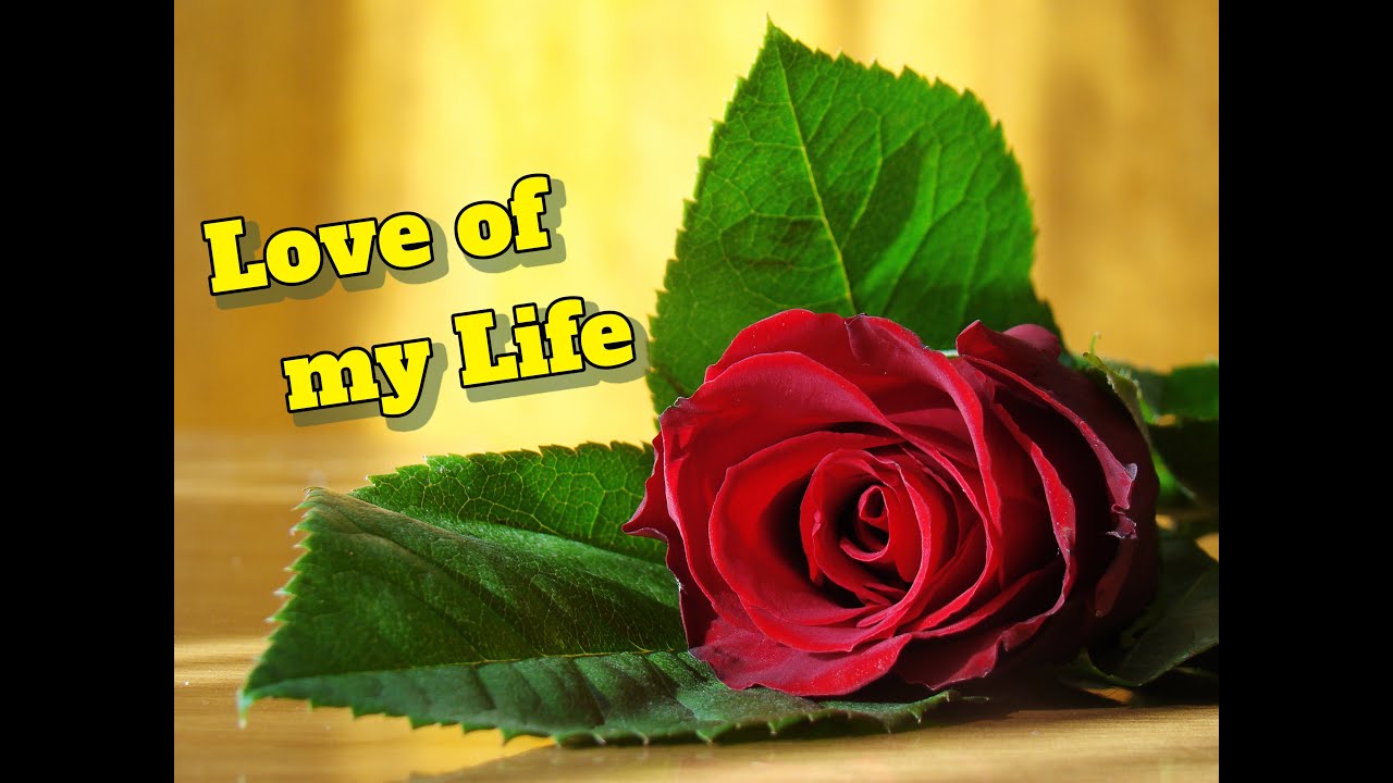 Love of My Life - Freddie Mercury