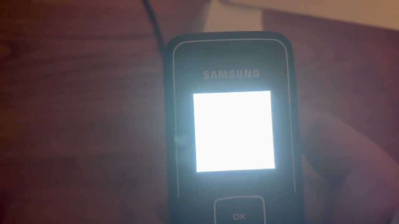 Samsung GT-E1050 going crazy for 2 minutes