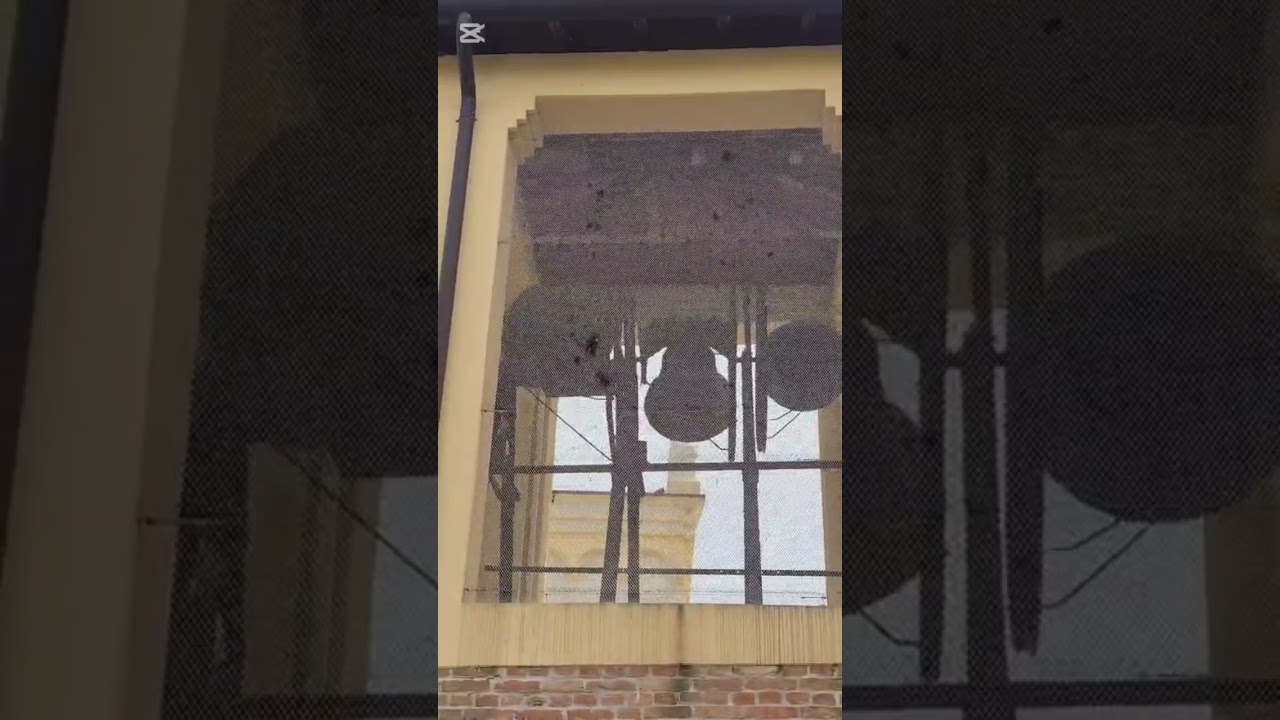 Le campane di Torre di Fine della parrocchia di San Ferdinando Re